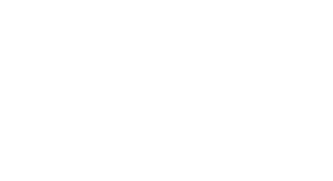 Hahner Twins Coaching